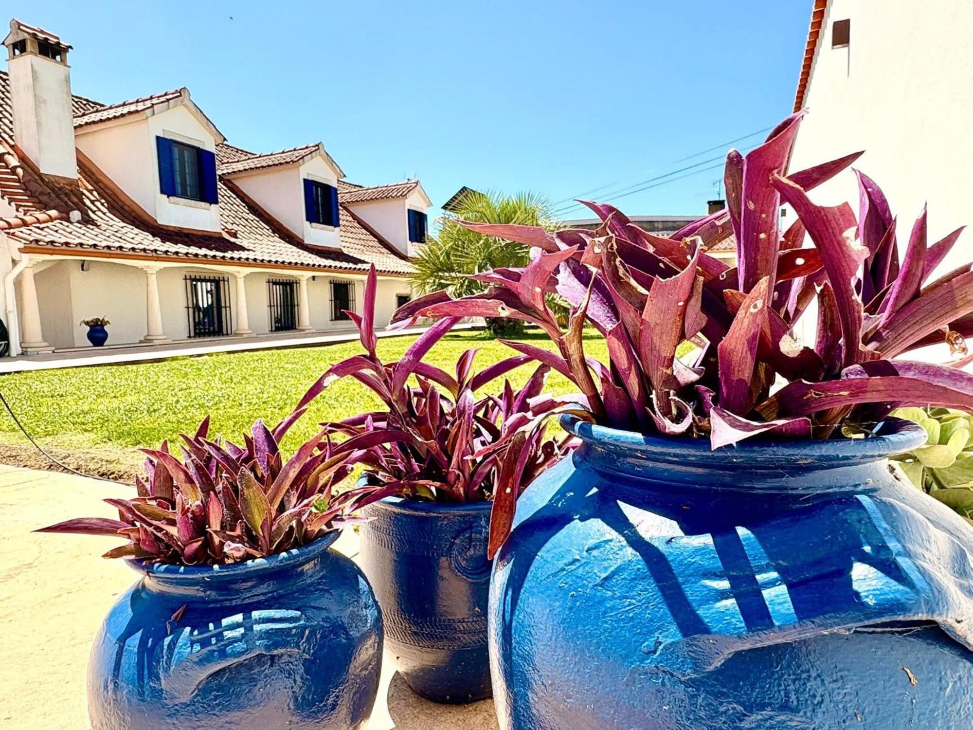 Bed and Breakfast Casal Dos Frades Fontainhas  Esterno foto